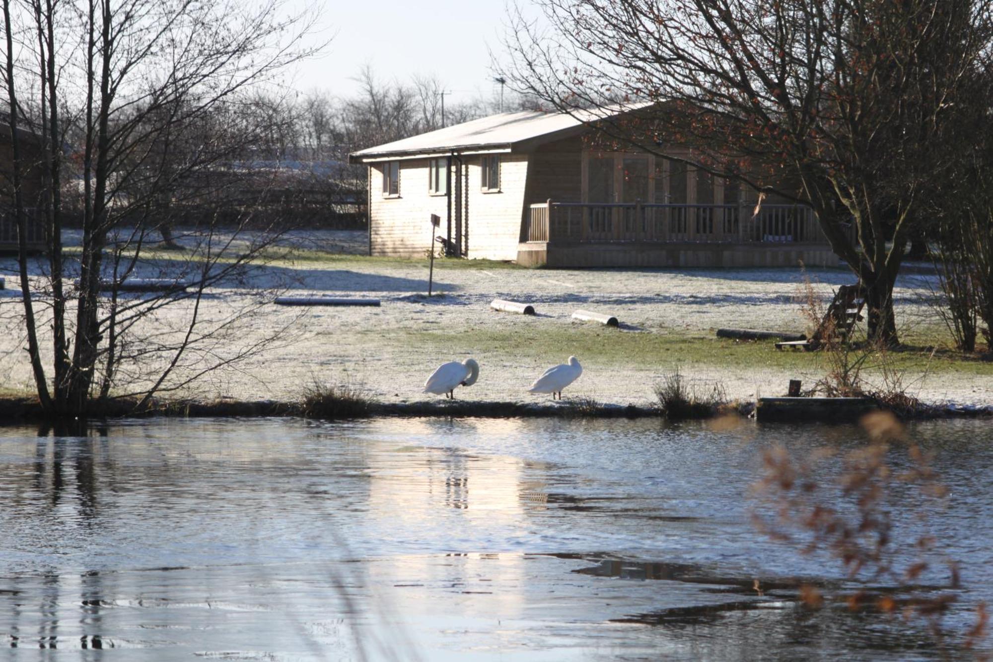 Woodpecker Lodge - Brook Meadow - Sleeps 4 Plus 2 - No Pets Маркет-Гарборо Екстер'єр фото